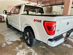 فۆرد F-150